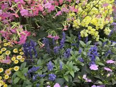 -人民公园(罗湖区)