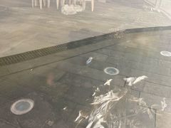 -哈尔滨大剧院