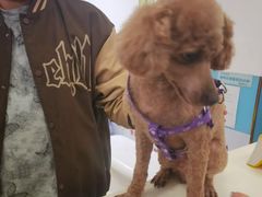 -皮特动物医院(24小时店)