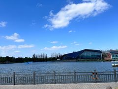 -上海长兴岛郊野公园