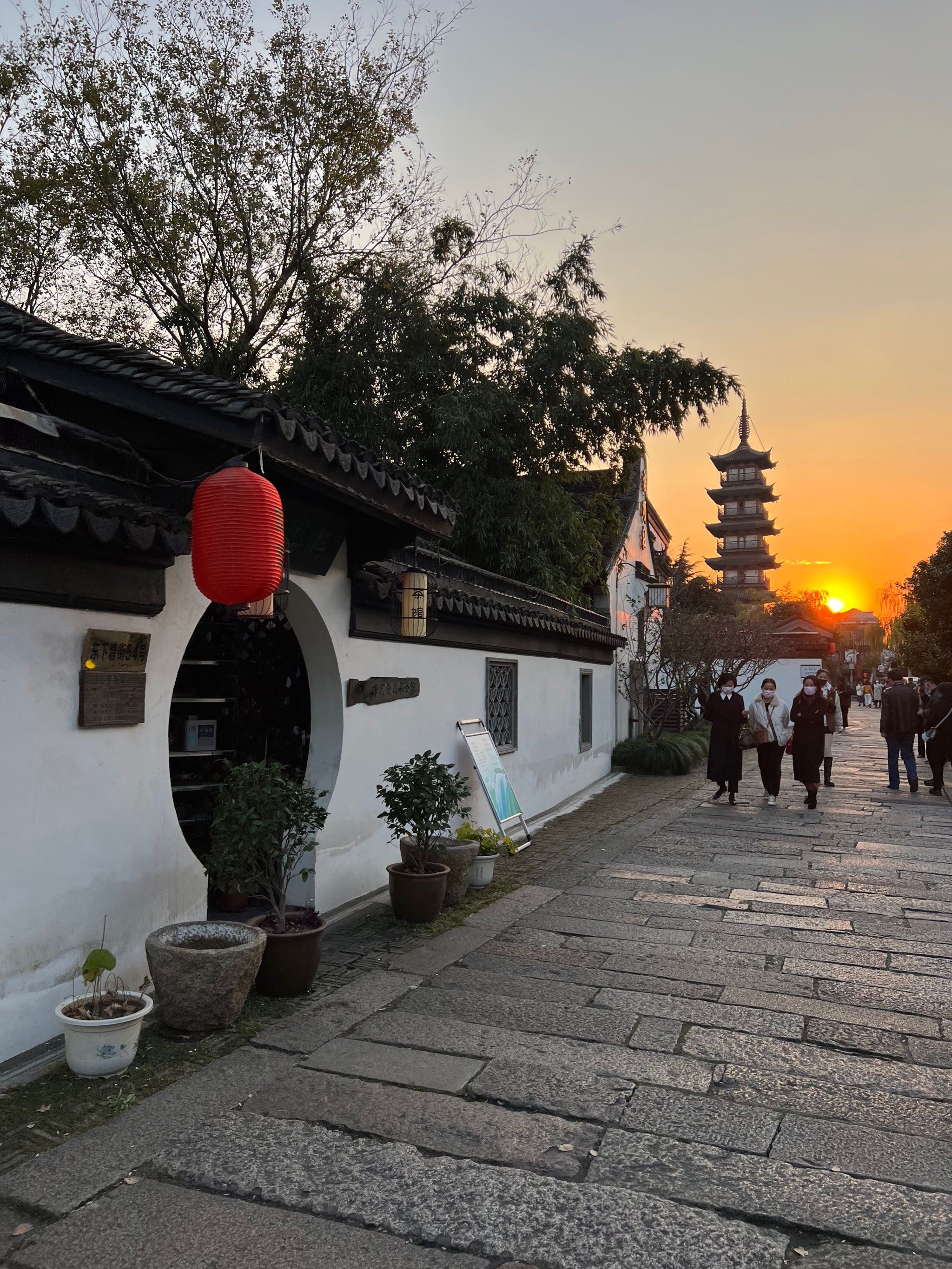 嘉定之根