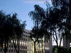 -黑龙江中医药大学附属第一医院