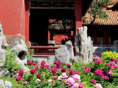 -故宫博物院(故宫)