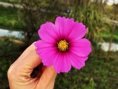 -花开海上生态园
