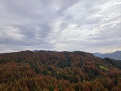 -山王坪喀斯特国家生态公园