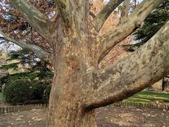 -北京动物园-畅观楼