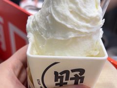 -野人先生现做冰淇淋(西安赛格店)