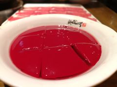 鲜鸭血-纸盐河码头火锅(十八梯店)
