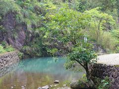 -大奇山国家森林公园