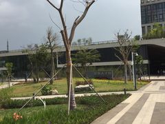 -深圳市人才园(深南大道店)