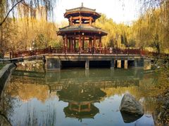 -西安市长乐公园