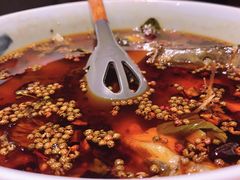 fusion水煮鱼-梧桐