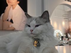 -Northand Coffee(来福士店)