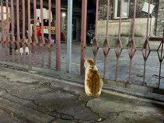 -吾悦广场(南京鼓楼店)