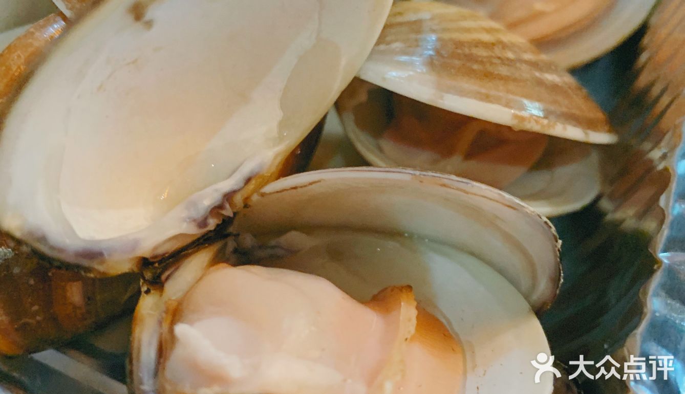 蛇口边的烧烤鱼塘|划算的宵夜大排档