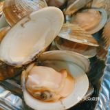 蛇口边的烧烤鱼塘|划算的宵夜大排档