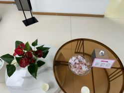 -薇兰专业脱毛连锁机构