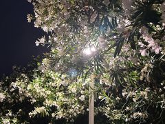-钟山体育运动公园