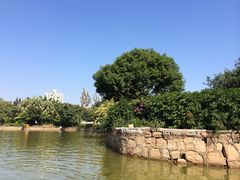 四海公园-四海公园(南山区)