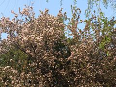 -元大都城垣遗址公园