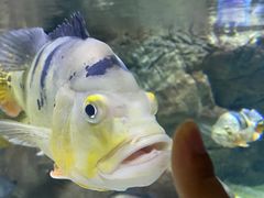 -多彩贵州城极地海洋世界