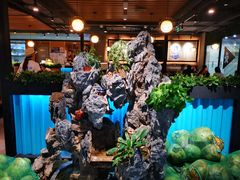 大堂-东椰·海南椰子鸡火锅(朝阳门店)