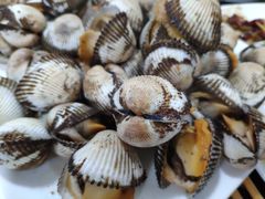 -张树军海鲜(王府壹号店)