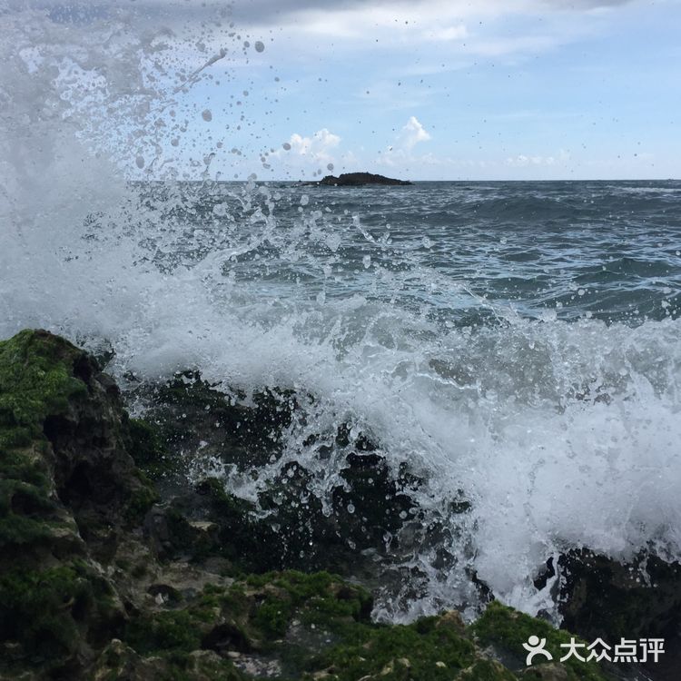 朝花夕拾|台湾禅修/旅行/生活碎片