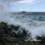 朝花夕拾|台湾禅修/旅行/生活碎片