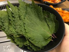 -碳碳烤肉(南湖路店)