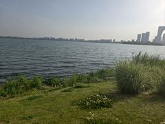 -金鸡湖景区