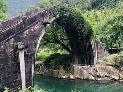 -鹿亭中村