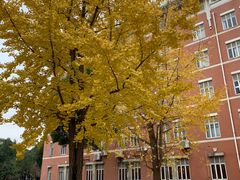 -四川大学(望江校区)