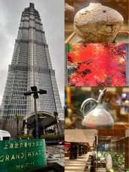 -上海金茂君悦大酒店·宴会厅