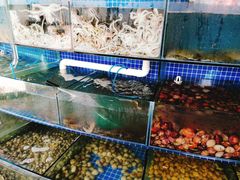 水产区-蟹谢蒸鲜自助餐厅