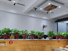 大堂-芳芳餐厅(白沙路店)