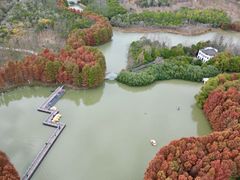 -上海海湾国家森林公园