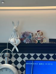 -爱悦月子中心·时光(武侯店)