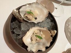 -Sketch(The Lecture Room & Library)