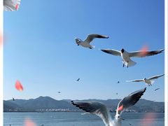-海埂大坝