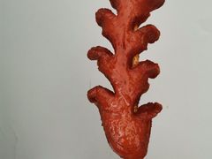 -正新鸡排·炸鸡烧烤(江宁路店)