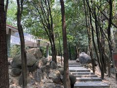 -火炉山森林公园