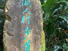-深圳仙湖植物园