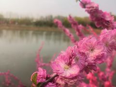 -东郊湿地公园