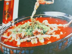 子姜蛙-呱呱兔庄