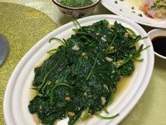 炒红薯叶-惠来大排档(联创商业街店)