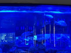 -上和臻品中国菜(花园街店)