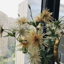 -久匠半永久纹眉