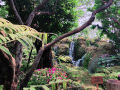 -Chom Cafe and Restaurant