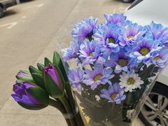 -双季花艺园艺市场(浦东店)